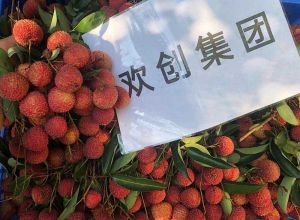 夏日好“枝”味，爱游戏网页版注册（中国区）官方网站
集团发福“荔”啦