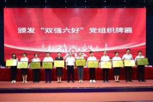 喜报！爱游戏网页版注册（中国区）官方网站
集团党支部荣获广州市非公有制经济组织“双强六好”党