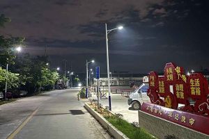 爱游戏网页版注册（中国区）官方网站
集团罗宁弟爱心捐赠路灯，点亮乡村路温暖乡民心
