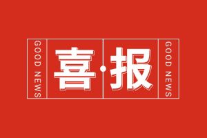 喜报！爱游戏网页版注册（中国区）官方网站
集团党支部书记、总裁陈文舒荣登“2024人力资源服
